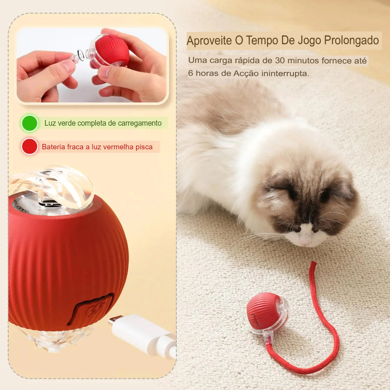 Brinquedo interativo da bola para gato, bola de rolamento automática com cauda